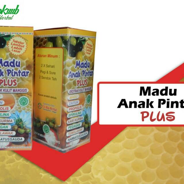 MADU ANAK PINTAR