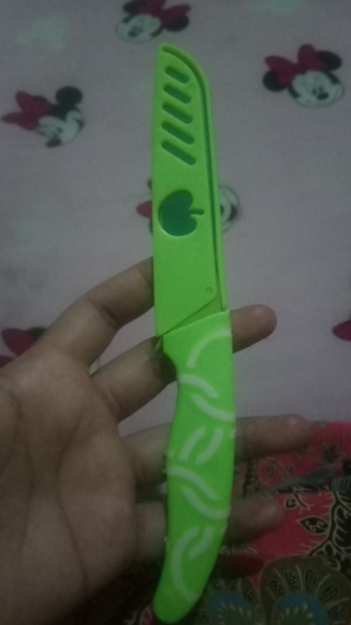 Pisau Buah/pisai Sayur/pisau Sarung