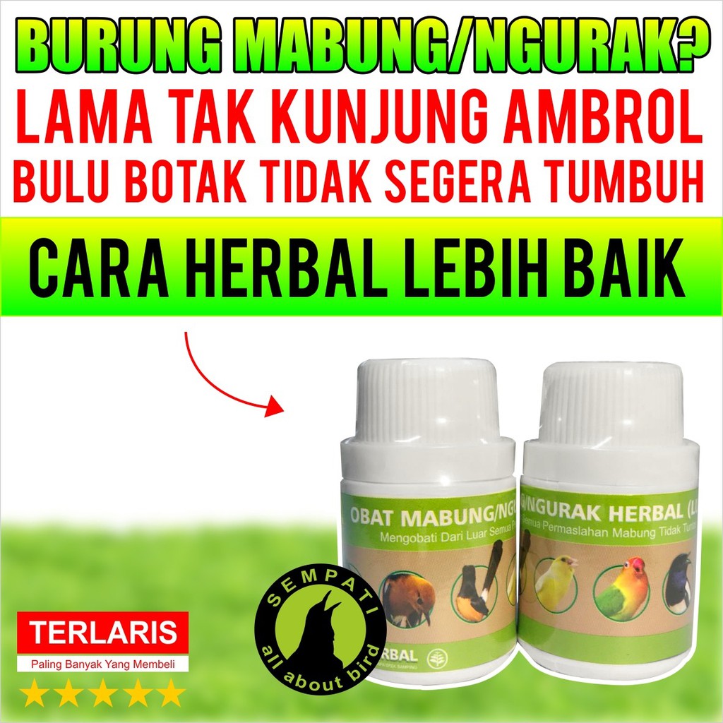 Obat Mabung Ngurak Herbal Luar Sempati Obat Burung Sakit Mabung