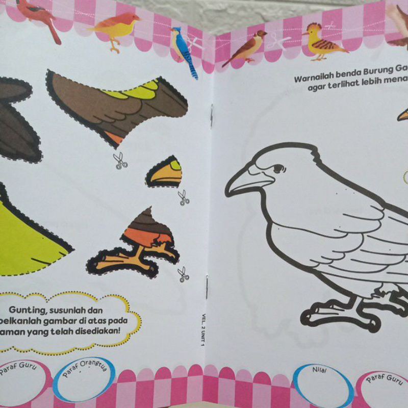 Buku Aktifitas Kreatif Belajar Menggunting Menempel Mewarnai BURUNG Untuk TK/Paud