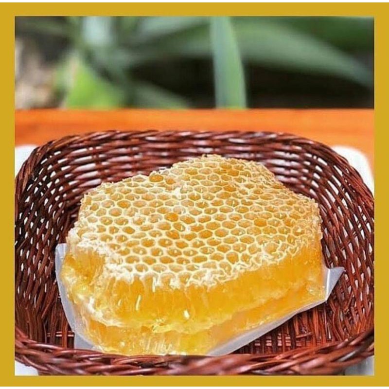 

madu asli my honey 250 gram