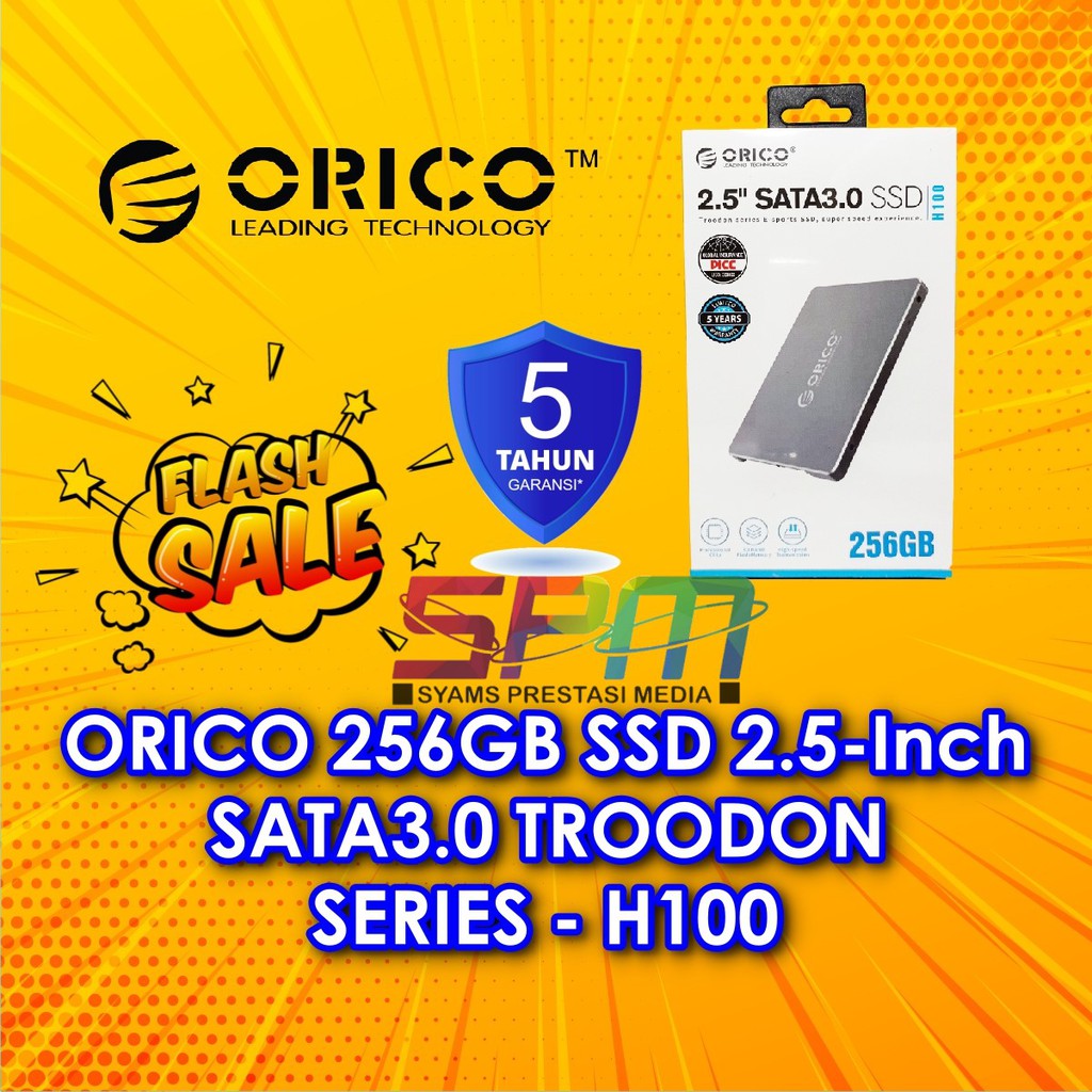 ORICO 256GB SSD 2.5-Inch SATA3.0 TROODON SERIES - H100