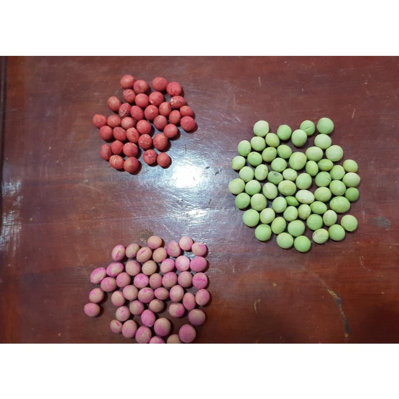 Edamame Ryoko super NP