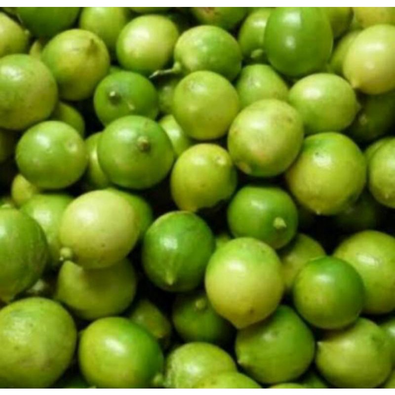 

jeruk nipis 500 gram pres