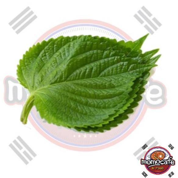 

Terjangkau> Perila leaf fresh (Daun wijen muda) 100 Gr Bungkusan Bbq seperti K-Drama