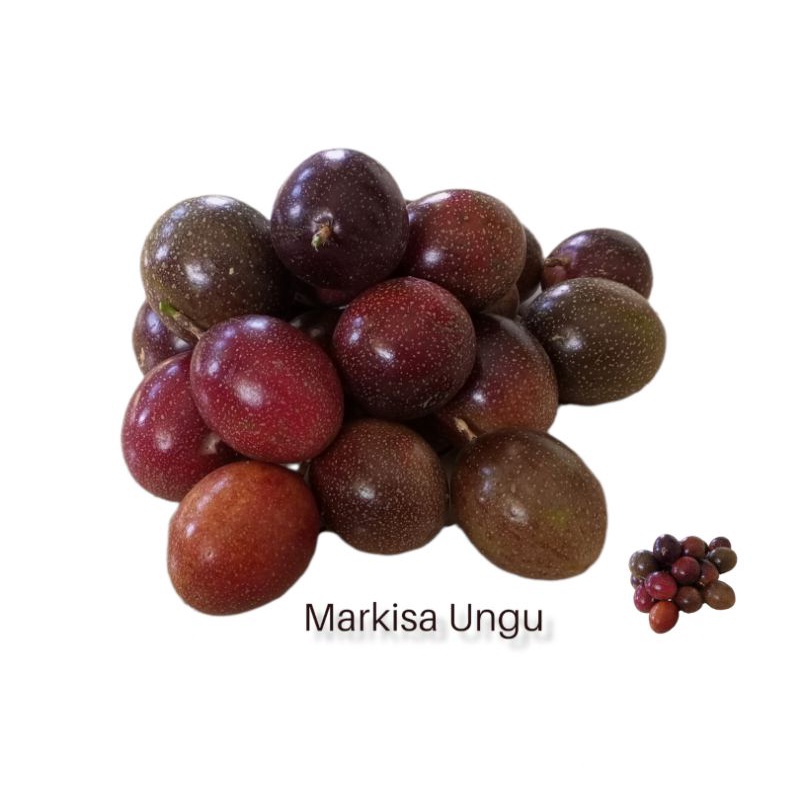

markisa ungu fresh dan segar 1kg