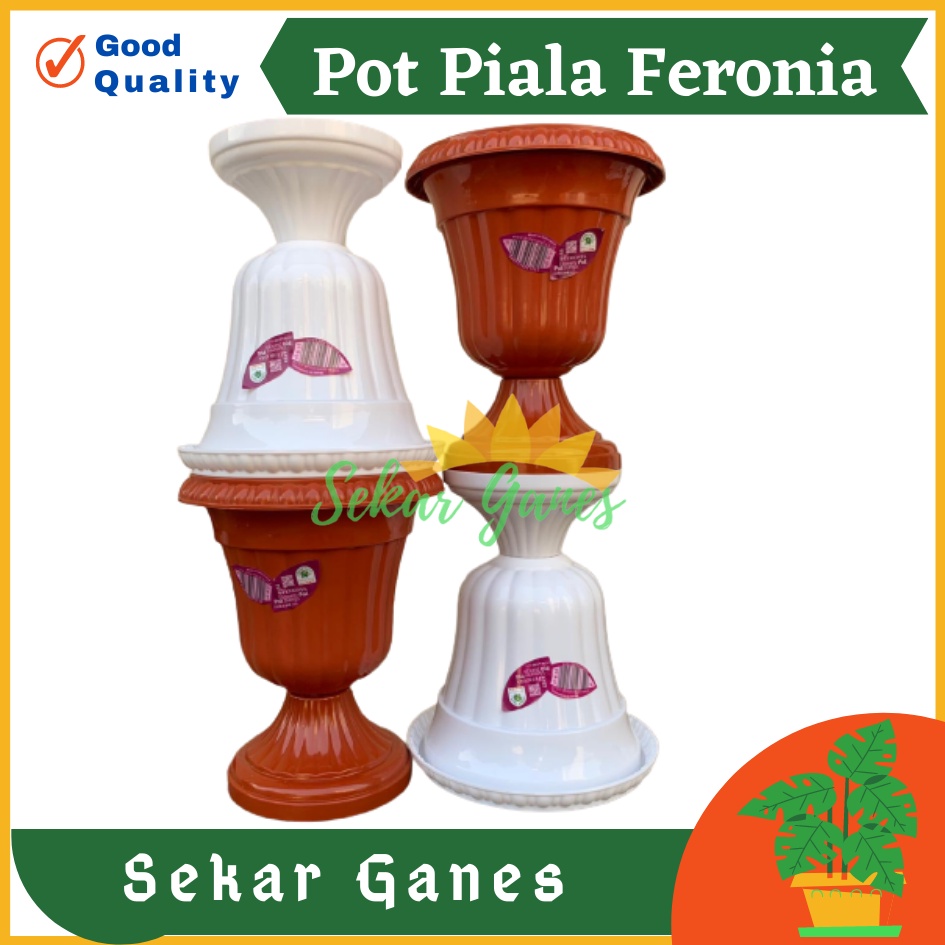 POT PIALA GREEN LEAF FERONIA 6152 PUTIH MERAH BATA TERRACOTA MERAH COKLAT Pot Piala Tinggi Putih Plastik hitam pendek 50 - POT PIALA GREEN LEAF FERONIA 6152 pot bunga pajangan model juara cantik bagus murah