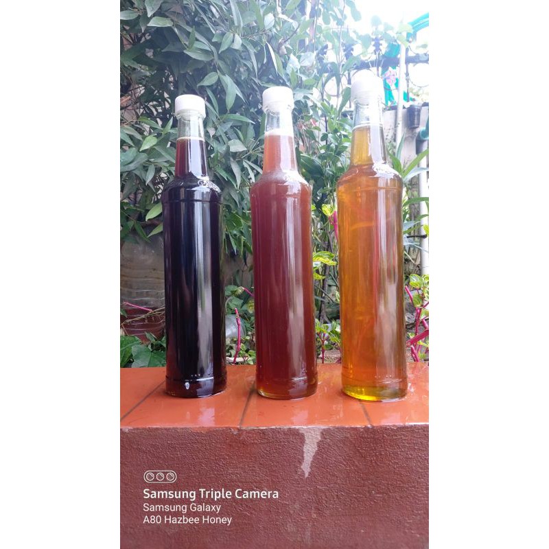

Madu Murni lebah Apic Dorsata/Odeng Botol 460 ml