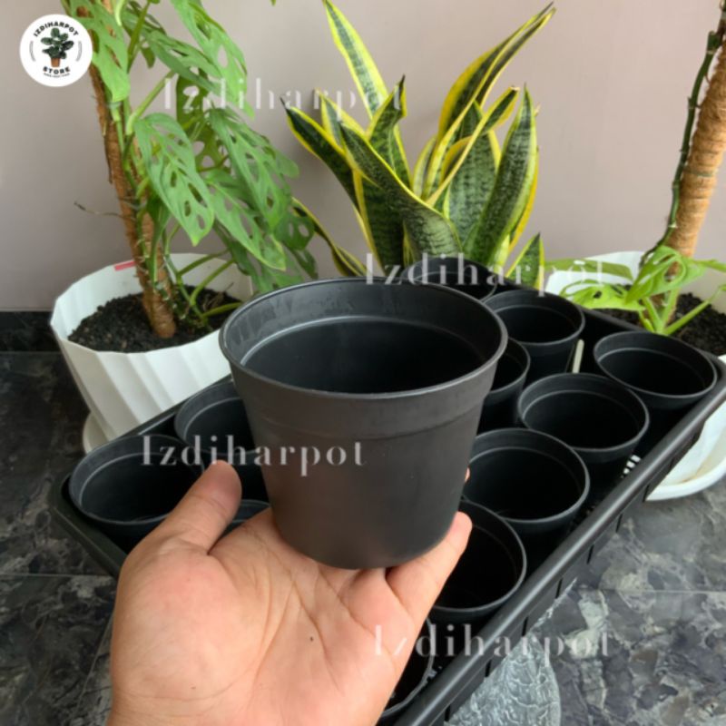 1 SET TRAY + 15 PCS POT HITAM 10CM | TRAY POT NKT 50CM | TRAY SEMAI BIBIT