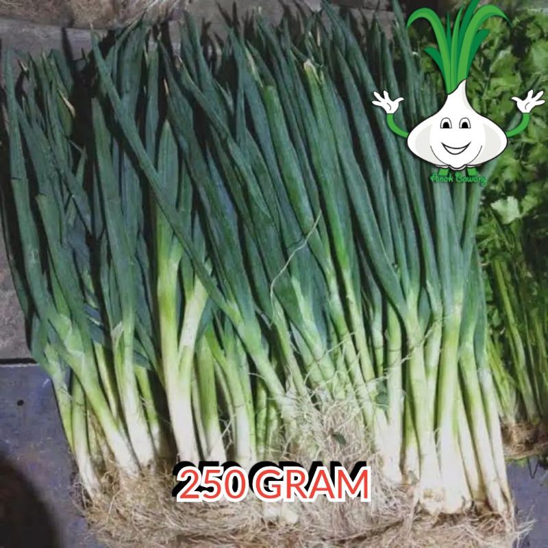 

250 gram daun bawang