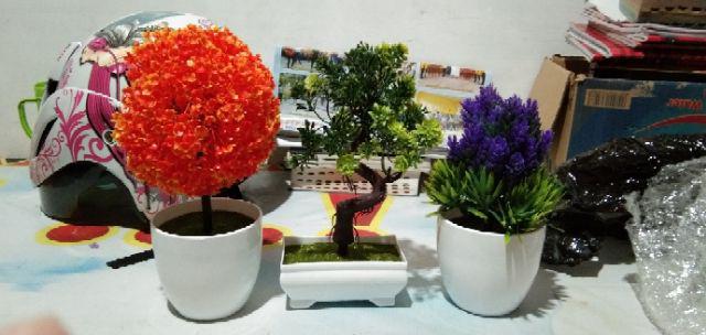 [1kg 11pcs] Pot Tanaman Vas Bunga Varian Pt01-pt04 Dekorasi Rumah Tanaman Plastik Hias Import