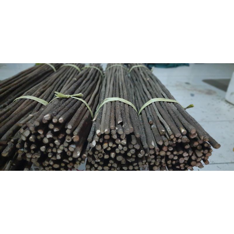 TANGKRINGAN asem SETAN/asem Bali khusus KONIN PLECI SOGON