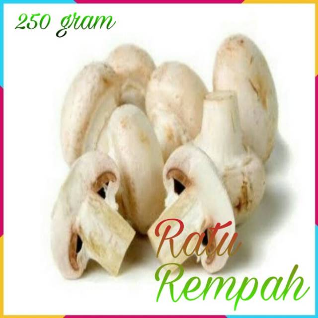 

Jamur Kancing