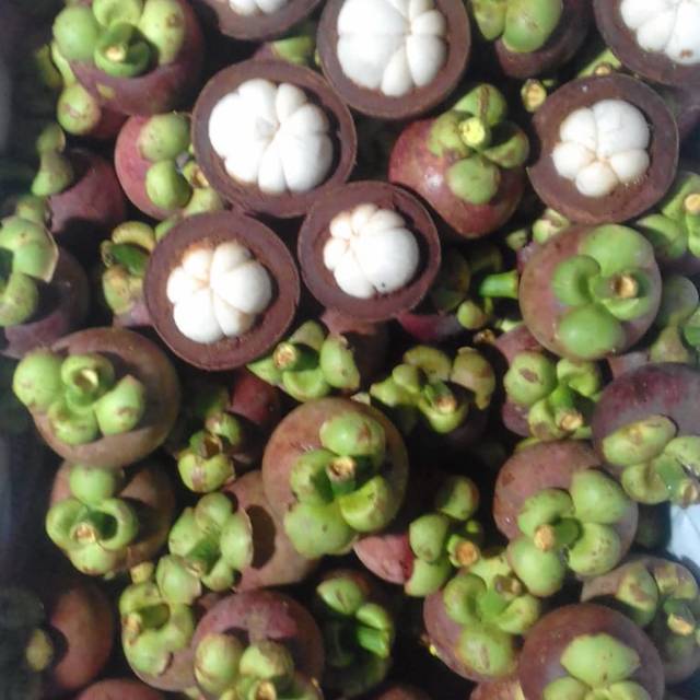 

Manggis.