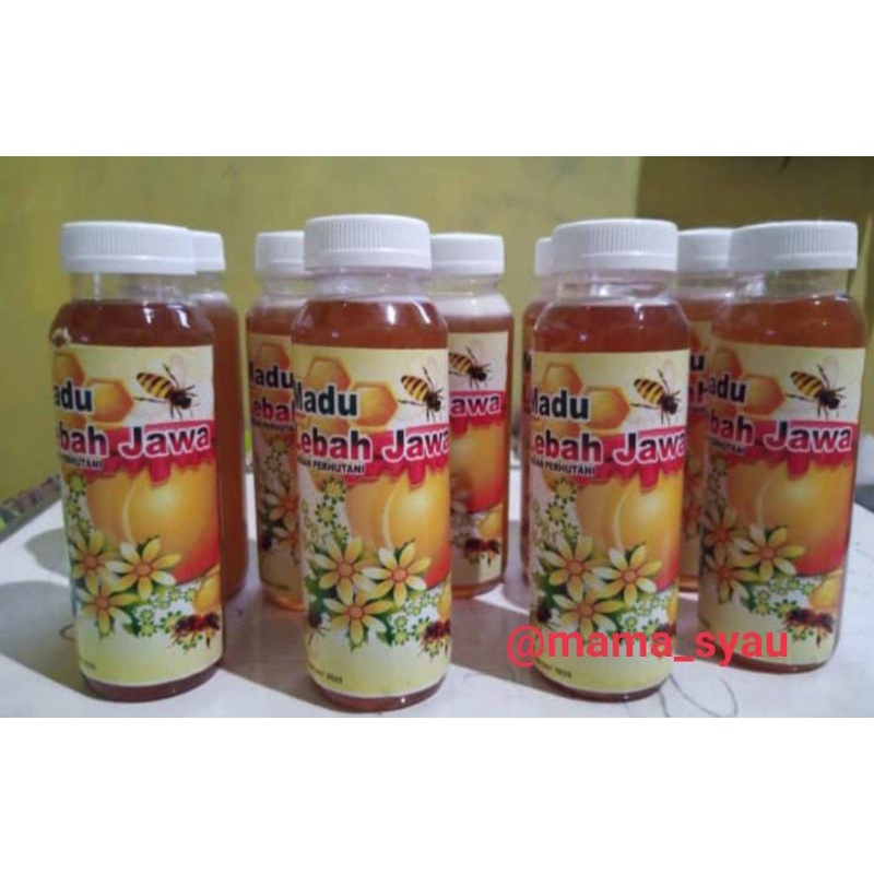 Madu lebah jawa 100% madu murni