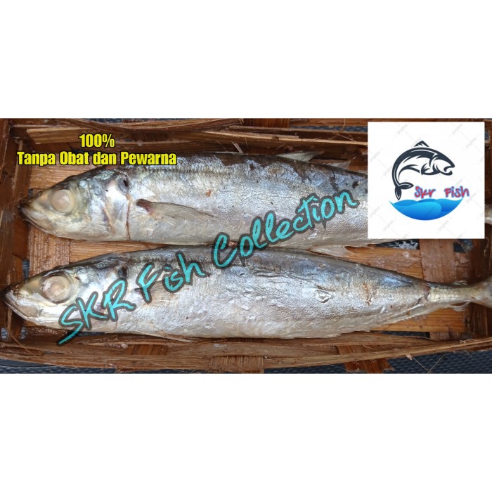 

Pindang Layang / ikan pindang / pindang cue