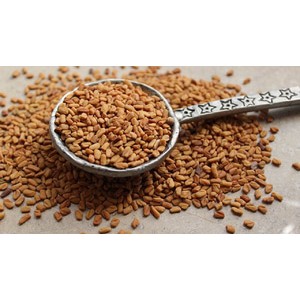 

Indian Fenugreek Seed Spices Rempah Masak Biji Klabet Kelabat Kering India