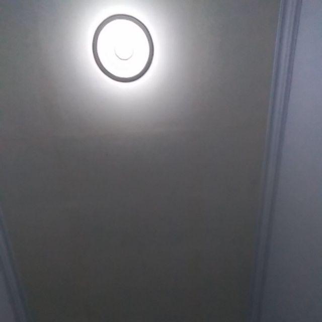 Insektisida Biologi Turex Wp, Pengendali Ulat