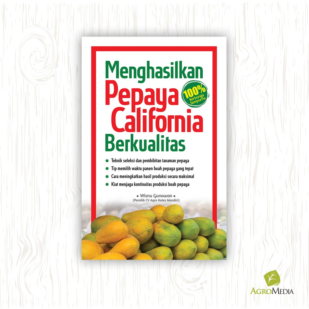 Menghasilkan Pepaya California Berkualitas