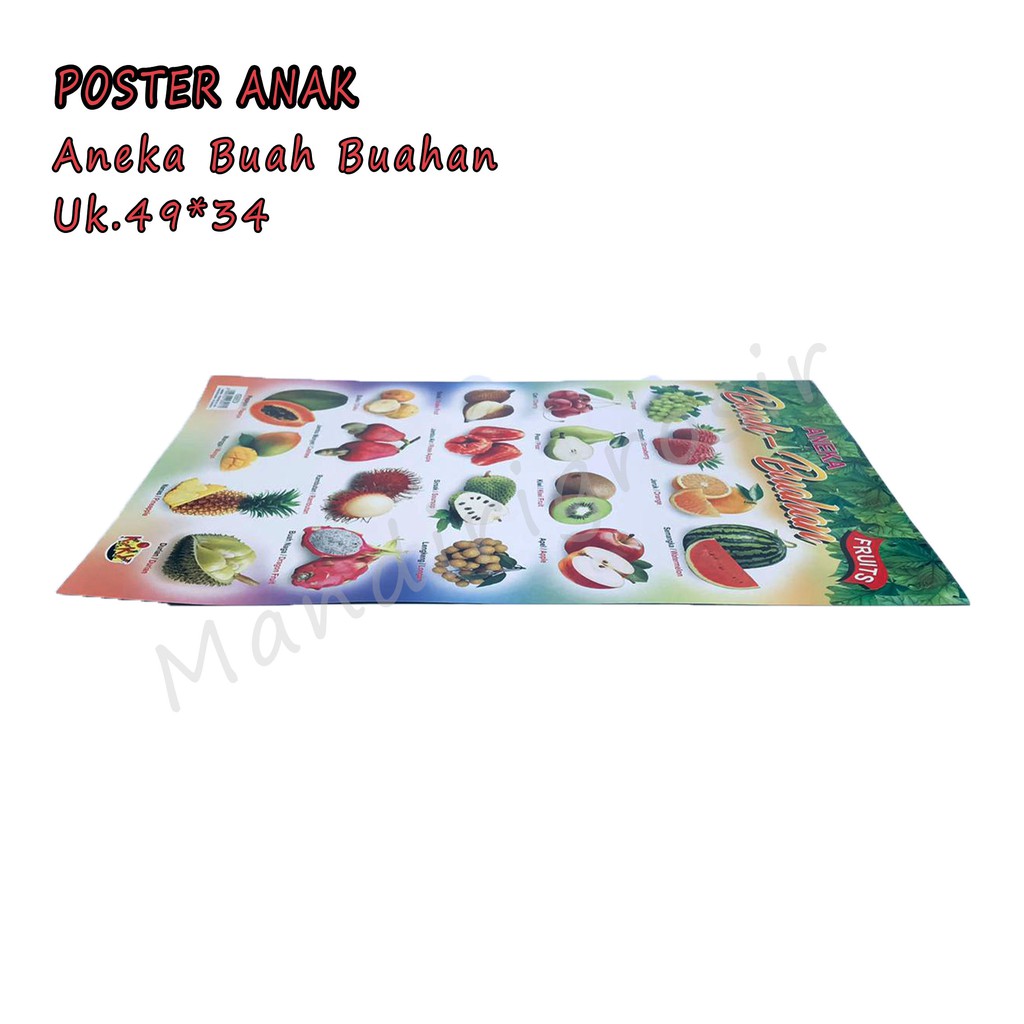 Kiky * Poster * belajar * anak * aneka * gambar * 34*49