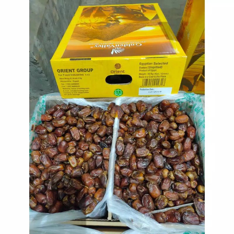 

KURMA GOLDEN 10 KG / KURMA MESIR GOLDEN 1 DUS ISI 10 KG