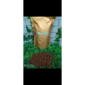 voer panjang ekor / longtail murai batu