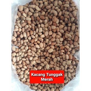 Jual Benih Bibit Biji Kacang Tunggak Tolo Merah Dan Putih Super Gr