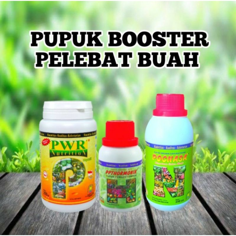 PUPUK BOOSTER BUAH PELEBAT BUAH PERANGSANG BUAH