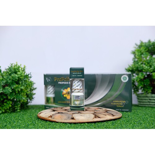 Propolis Brazil SM Obat Sinusitis Flu Pilek Menahun Bersin bersin Hidung Tersumbat Polip Hidung-2