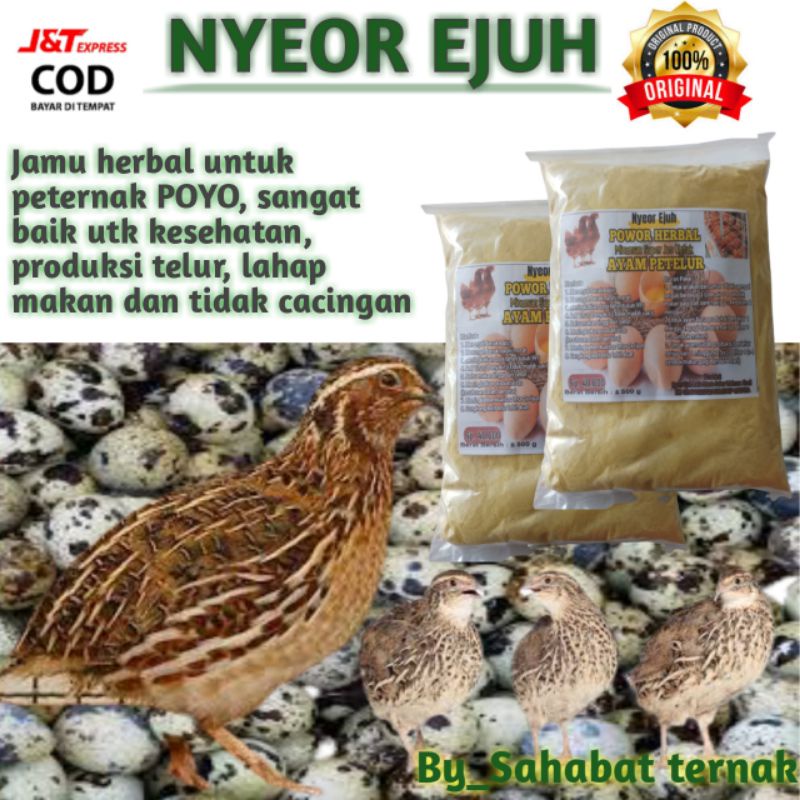 

nyeor ejuh untuk puyu