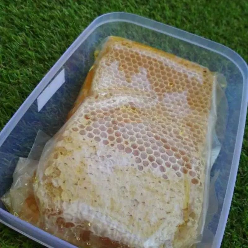 

MADU SARANG MELIFERA 500g