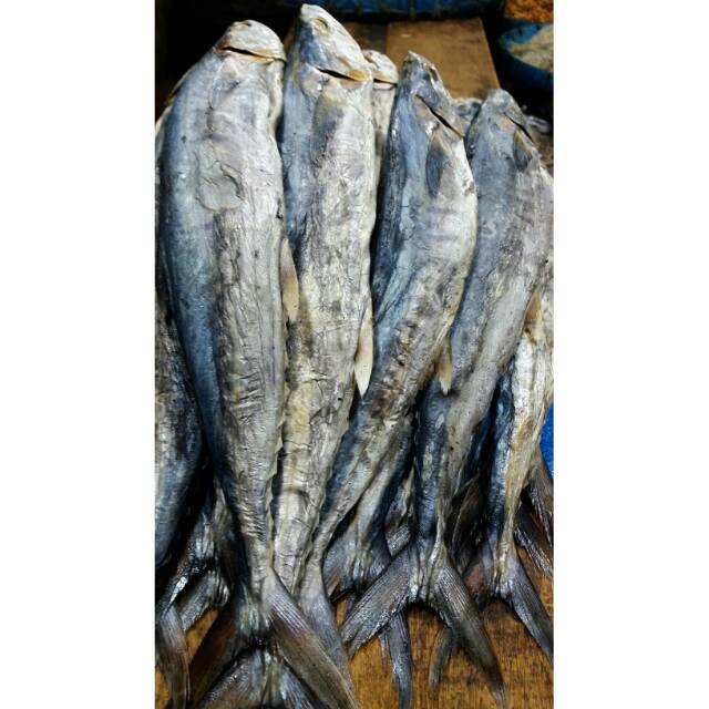 IKAN ASIN TENGGIRI /IKAN ASIN BK