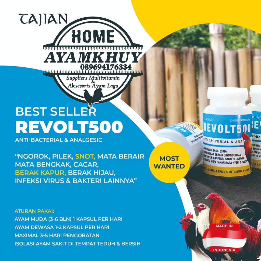 OBAT AYAM SNOT NGOROK PILEK MENCRET BERAK KAPUR PUTIH - TAJIAN REVOLT500