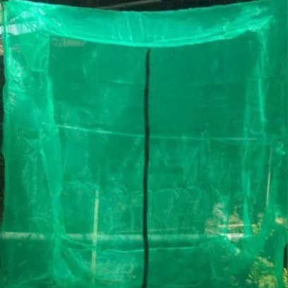 KANDANG Lalat Bsf ukuran 2x2x2