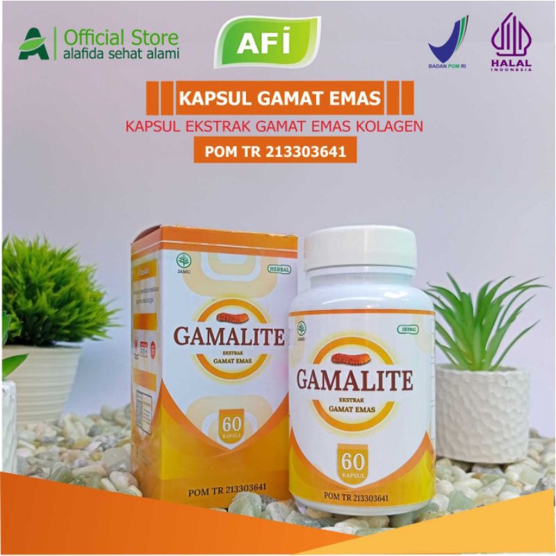 Kapsul Gamat emas / kapsul ekstrak gamat gold premium / Original bukan gamat biasa isi 60 kapsul