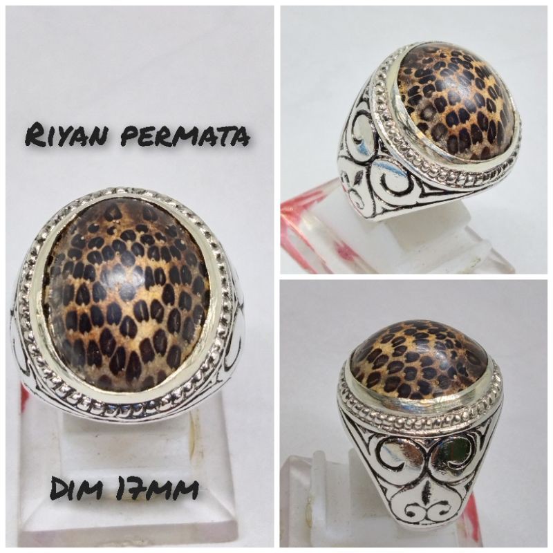 Cincin kayu liwung