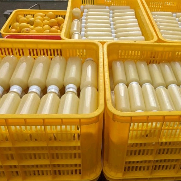 

Ay00! Sari Lemon 1 Liter Murah - Jus Diet/Detoks BPOM dan HALAL