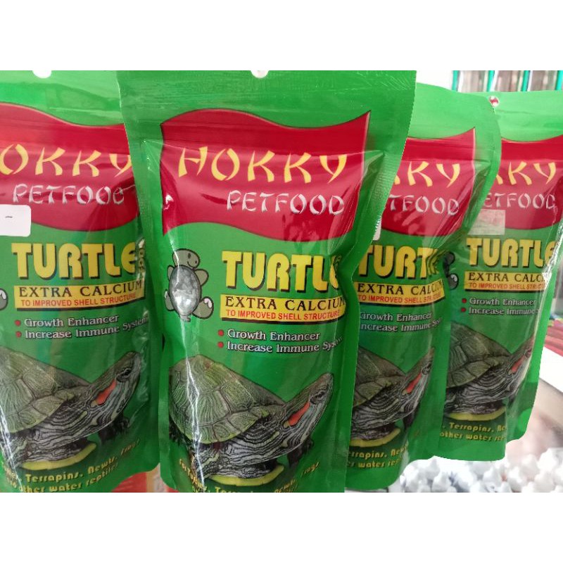 Hokky Turtle