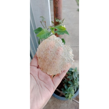 

kerupuk nasi mentah 200 gram isi 20- 24 pcs