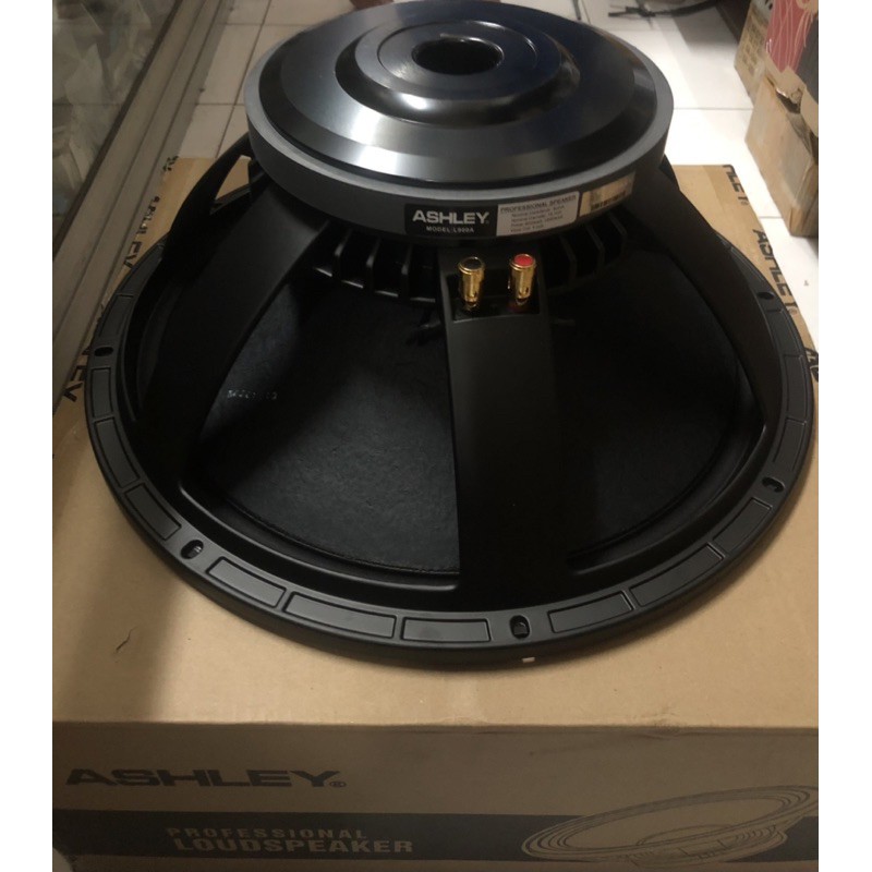 Speaker 18&quot; Ashley 18L900