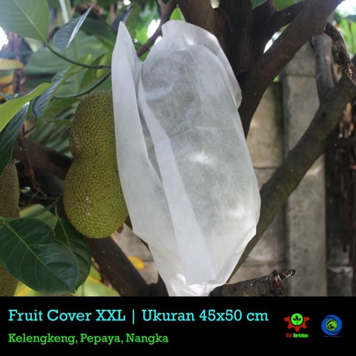 

brongsong buah buah xxl 25 pcs