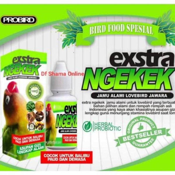 Termurah   PROBIRD EXTRA NGEKEK JAMU LOVEBIRD VITAMIN PENDONGKRAK NGEKEK DURASI FIGHTER