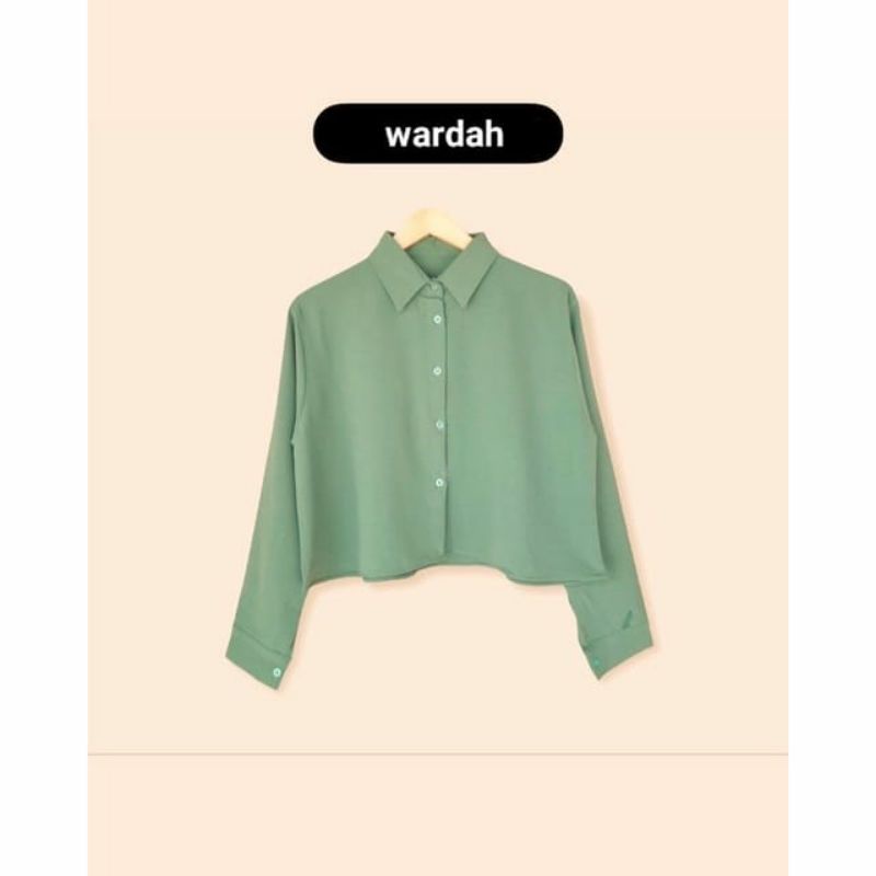 kemeja crop/kemeja crinkle/rayon premium *BUKAN AIRFLOW* mohon dipahami ya kak..