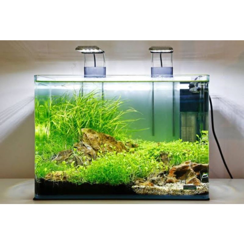 AQUARIUM AKRILIK MEDIUM UK.  35CM X 18CM X 30CM