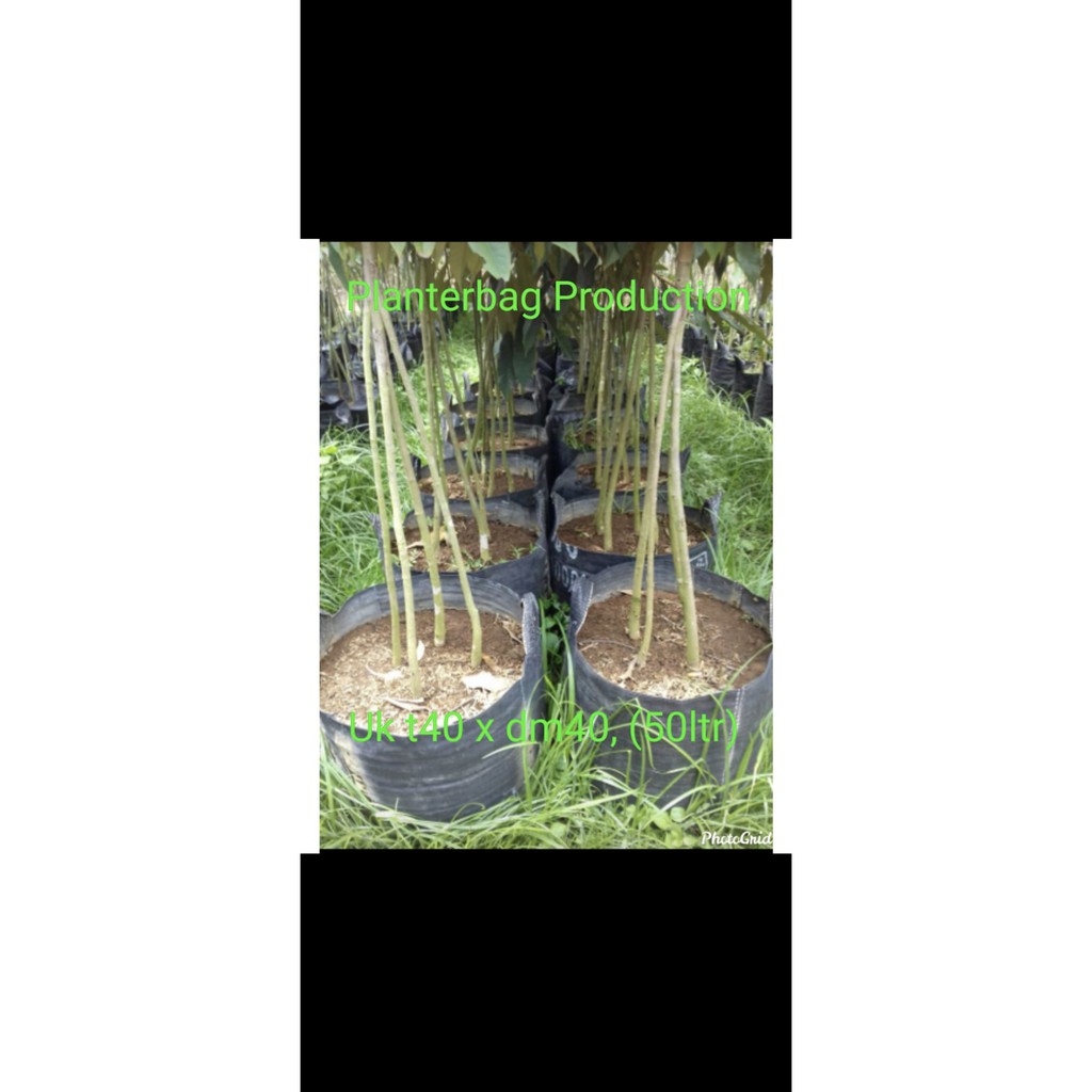 Planterbag uk40/50liter