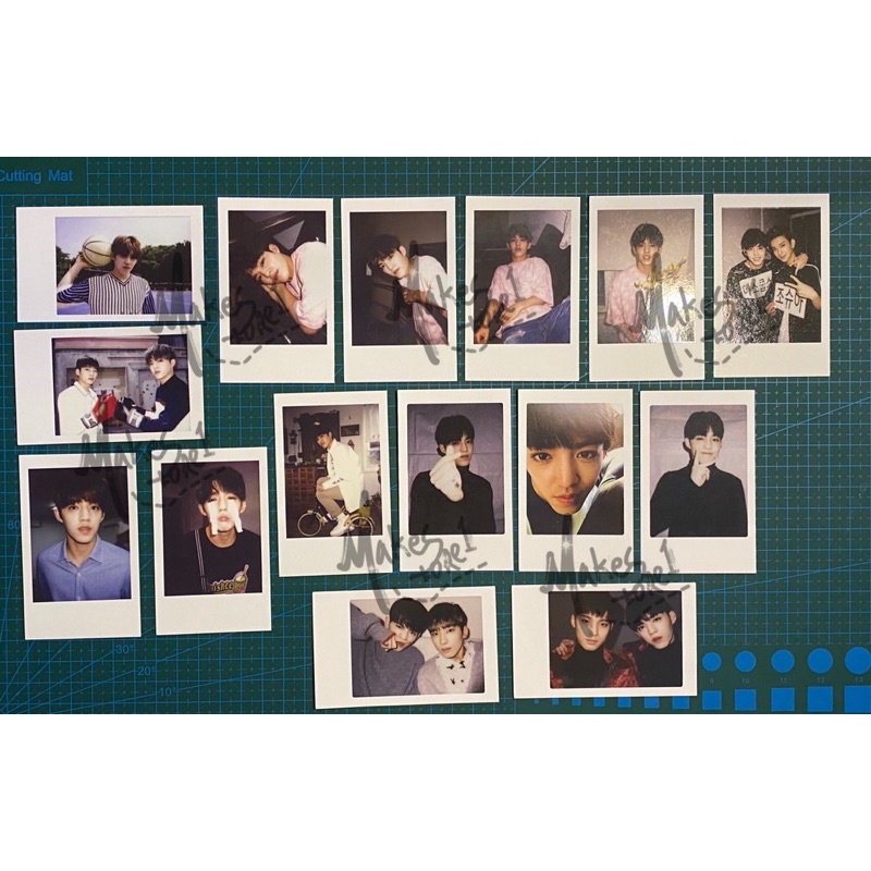 Polaroid Concert Seventeen