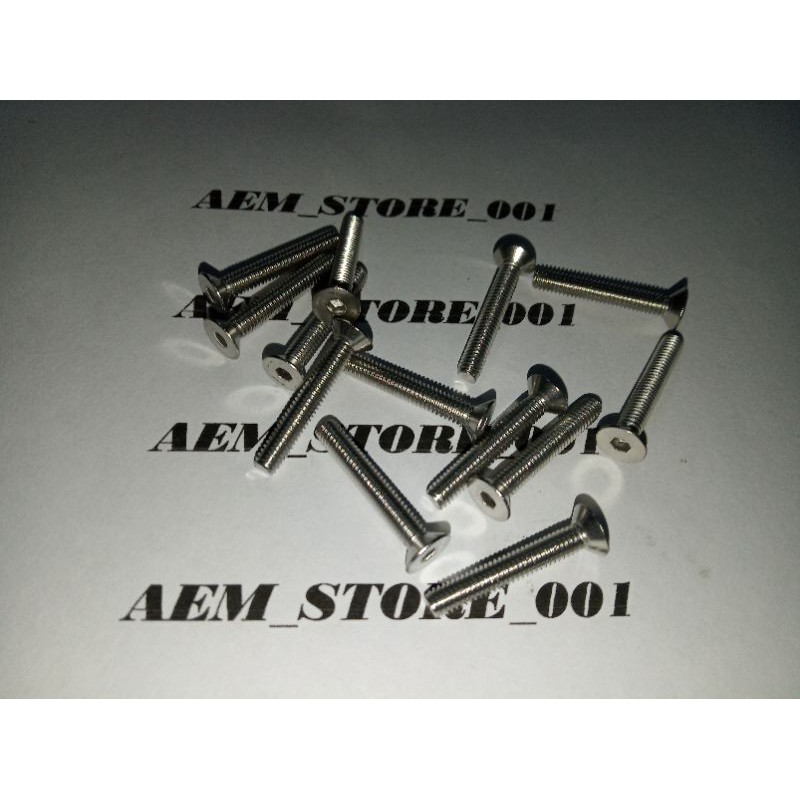 verseng L M4 x 25 (2.5cm) stainless 304