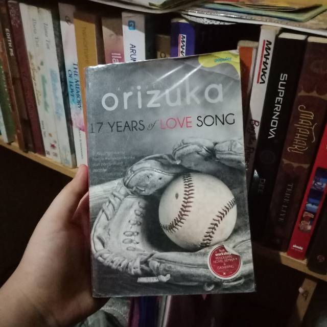 Novel Bekas 17 Years of Love Song