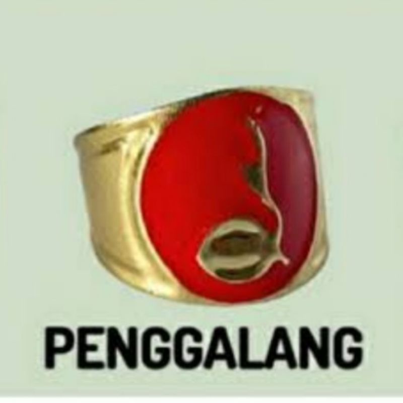 Ring kacu seng