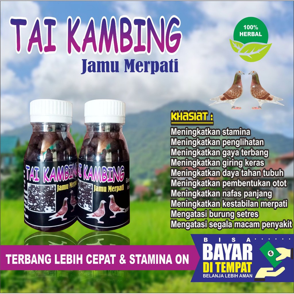 JAMU MERPATI TAIKAMBING ISI 120 BUTIR DOPING MERPATI PIL EDAN VETAFRAM TERBUKTI PROMOO